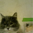 ���� ���������, ����, 53 ���� - ��������� 9 ����� 2012 � ������ ������