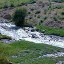 ��� ���� ����������