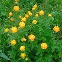  ,  -  24  2013    ɻ