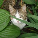 ���� ����)), �����, 40 ��� - ��������� 27 ������ 2009 � ������ �������-��)�