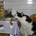 ���� �������, ������, 41 ��� - ��������� 11 ������� 2009 � ������ ��������� � ���������