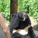 ���� ����, �����������, 56 ��� - ��������� 6 �������� 2012 � ������ ���������� ����)))�