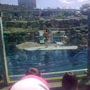 ���� ������, ���������, 41 ��� - ��������� 13 ���� 2011 � ������ ��������� �� ������