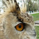   ( ), , 64  -  2  2013     