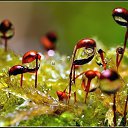 ���� ������, ������, 34 ���� - ��������� 26 ��� 2010 � ������ ����� � ��������