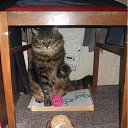 ���� ����, �����, 25 ��� - ��������� 30 ������ 2012 � ������ ������