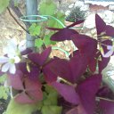 ���� ���������, �����������, 43 ���� - ��������� 5 ������� 2012 � ������ �_.-;(*,!,*);-,_�