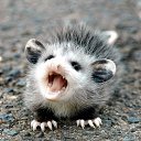 ���� ��������, ������ - ��������� 28 ��� 2012