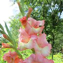 ���� ������, ������, 54 ���� - ��������� 19 ������ 2013 � ������ �NEW�