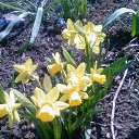 ���� �������, ������, 57 ��� - ��������� 14 ���� 2012 � ������ ���� ������