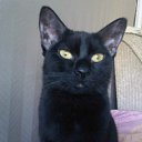  Zanna, , 53  -  16  2012    