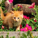 ���� Ihar., �����, 53 ���� - ��������� 8 ��� 2012 � ������ ���� ����������