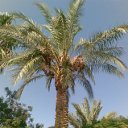 ���� ���������, �������, 45 ��� - ��������� 22 ������ 2012 � ������ �������