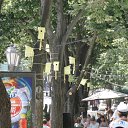 ���� Makosta, ����, 56 ��� - ��������� 5 ���� 2010 � ������ �������