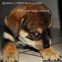 ���� Leri, �����-��������� - ��������� 6 ������� 2013 � ������ ���� ����������