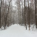 ���� �����, ������ - ��������� 12 ������ 2012 � ������ ������������� ���.�