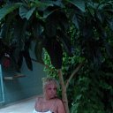 ���� �������, ������, 41 ��� - ��������� 4 �������� 2012 � ������ ���� ����������