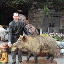 ���� ������, �������, 51 ��� - ��������� 31 ���� 2012 � ������ ���� ����������