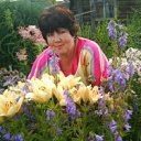 ���� ������ - ��������, �����-���������, 69 ��� - ��������� 15 ���� 2013 � ������ ���� ����������