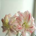 "��������" �� ������� �������������!!!�