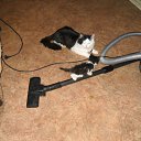 ���� �����, ������������, 51 ��� - ��������� 1 ������� 2011 � ������ ���� ����������