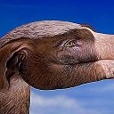 ���� ��@���, ��������� - ��������� 7 ������� 2011 � ������ ������-������........�