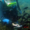 ���� �������, ������, 46 ��� - ��������� 3 ������� 2011