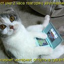 ���� ����. ��������� �� ��!, ������, 72 ���� - ��������� 3 ������ 2011 � ������ �������� ����