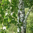 ���� ������, �������� - ��������� 16 ������� 2012 � ������ �������