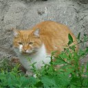 ���� Naked, ������������ - ��������� 22 ����� 2011 � ������ ���������� (�������� � ���������)�