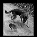 ���� �����, �����������, 40 ��� - ��������� 14 ������� 2010