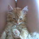 ���� �������, ���������, 50 ��� - ��������� 31 ���� 2012 � ������ �������