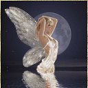  ( ), , 40  -  17  2011   