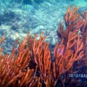 ���� ����, �������-��������� - ��������� 30 ������ 2012 � ������ ��� �������� �������. �.������ ������2012�.�