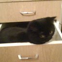 ���� ������, ������, 59 ��� - ��������� 27 ������ 2011 � ������ ���� ����������