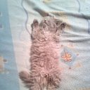 ���� Juulia), ���� - ��������� 28 ������� 2010 � ������ ���� ���������