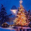 ���� �������, �������, 53 ���� - ��������� 3 ��� 2011 � ������ ���� ����������