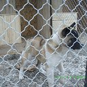 ���� Arsenty, ������������, 64 ���� - ��������� 28 ������ 2011 � ������ ���� ����������