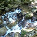 ���� ���������, �������������, 37 ��� - ��������� 17 �������� 2011 � ������ ���� ����������