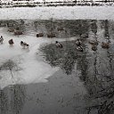  Nadin))) , - -  5  2010   