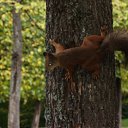  She's Like The Wind,  -  10  2010   Ի