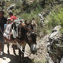 ���� Irina, �������� - ��������� 23 ������� 2012 � ������ ����һ