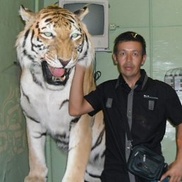 ���� ����, �����-���������, 56 ��� - ��������� 31 ������� 2012