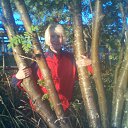 ���� ����, ������������, 50 ��� - ��������� 5 ������ 2011 � ������ ���� ����������