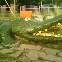 ���� ������, ��������, 36 ��� - ��������� 26 ���� 2009 � ������ ���������� ������