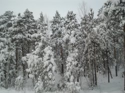 Q, �����������, 26 ���