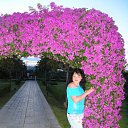 ���� ***�������***, ���� - ��������� 11 ���� 2013 � ������ ���� ����������