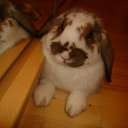 ���� 1 ��� � �� ����� �������� . � ������� ������� � ������� ����� ! �� ������� ����� ��� ������������