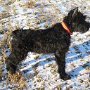 ���� ����, ��������� - ��������� 8 ������� 2010