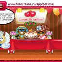  , , 30  -  7  2010   PetLove